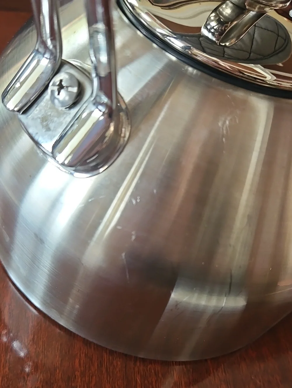 Chantal Classic Stainless Steel Tea Kettle with Hohner Harmonica Whistle & Mitt